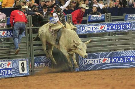 Bull riding at the rodeo gets closer look - Houston Chronicle