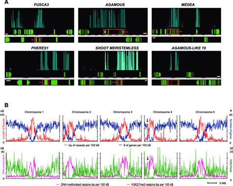 Genome Wide Identification Of H K Me Regions A Comparison Of