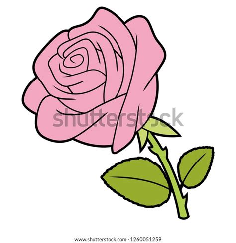 Illustration Pink Rose Stock Vector Royalty Free 1260051259 Shutterstock