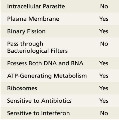 Chapter 13 Viruses, Viroids, and Prions Flashcards | Quizlet