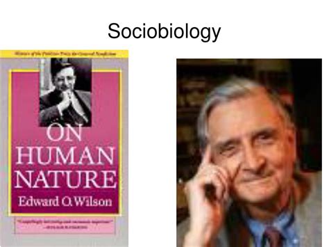PPT Theoretical Perspectives On Sex And Gender PowerPoint