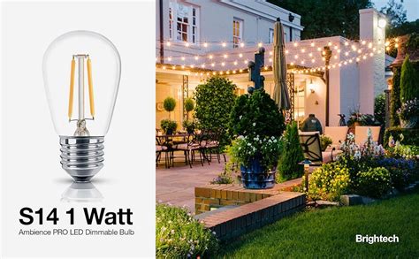 Brightech Ambience Pro Replacement Led Light Bulbs Watt Led Edison