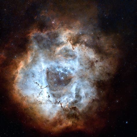 Ngc 2244 Rosette Nebula Dsp