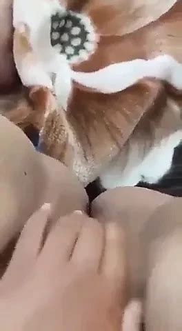 9a7ba Tounsia 9alt Lsa7bha Nadhftou 3la 5atrek Porn 74 XHamster