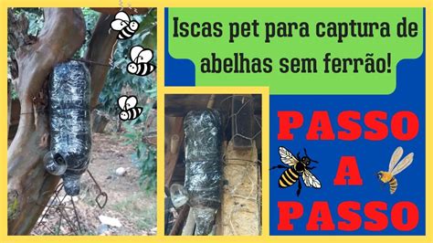 Isca Na Garrafa Pet Para Capturar Abelhas Sem Ferr O Passo A Passo