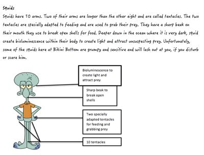 JOYCE S CHOICES Bikini Bottom Ecosystem Notes