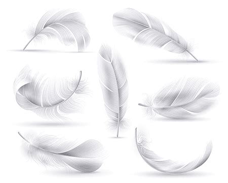 Feathers Falling PNG Transparent White Falling Feather Feather Lithe