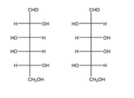 Biochem Midterm III Flashcards Quizlet