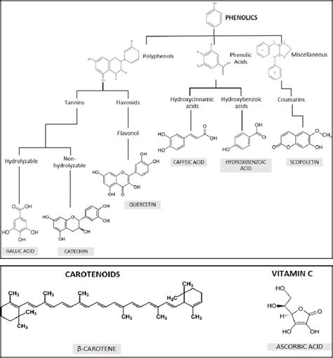 Natural Non Enzymatic Antioxidants Present In Plants And Used In This