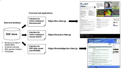 Overview Of Bioresource Integrated Database In Riken Brc Left Panel