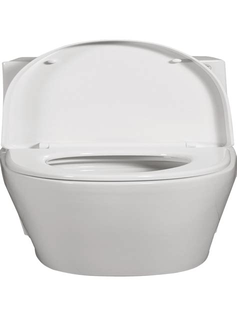 Gpf Dual Flush 1 Piece Elongated Toilet With Soft Close Seat Gloss