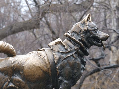 The Balto Statue in Central Park - Discover NYC