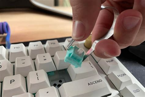 How To Replace The Keys On A Mechanical Keyboard Robots Net