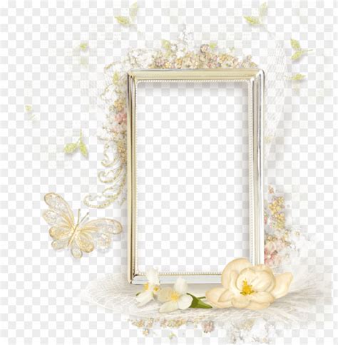 Beautiful Cream Transparent Frame With Flowers Beautiful Flowers