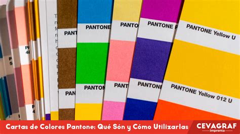 Pantone Cartas De Colores Qu Son Y C Mo Utilizarlas