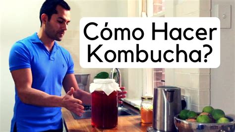 C Mo Hacer Kombucha F Cilmente Kombucha Y Fermentados