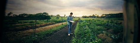 Consultoria Lean Farm para Agronegócio Polo Sebrae Agro