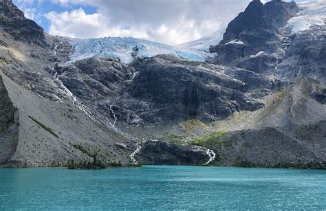 Mount Robson Provincial Park De 10 Beste Routes Om Te Wandelen Alltrails