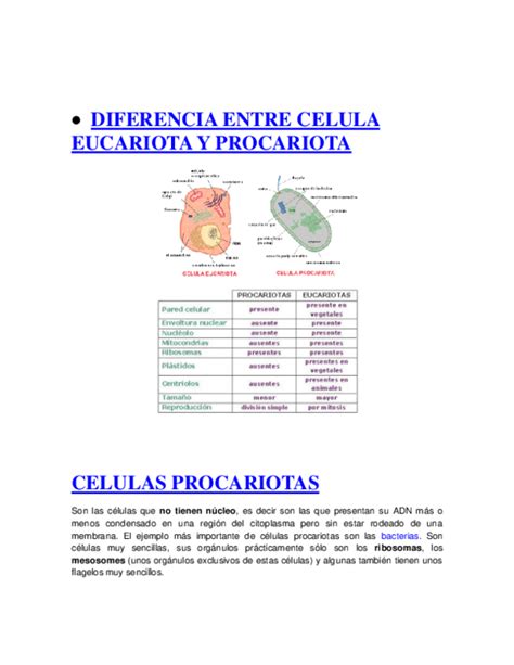 Doc F 0 B 7 Diferencia Entre Celula Eucariota Y Procariota Celulas