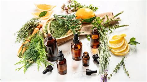 Mediterranean Essential Oils Unlocking Natures Aromatic Secrets Mediterra