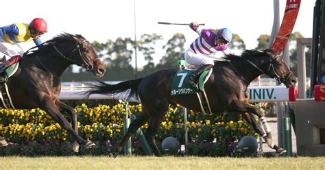 【京都金杯】イルーシヴパンサーが再出発の重賞2勝目 今年こそはマイル界のてっぺんを取る サンスポzbat