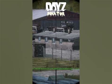 Не беги от снайпера, умрешь устывшим #dayz #pihator - YouTube