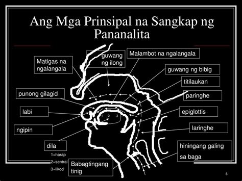 Mga Bahagi Ng Pananalita Chart Mga Bahagi Ng Pananalita Images