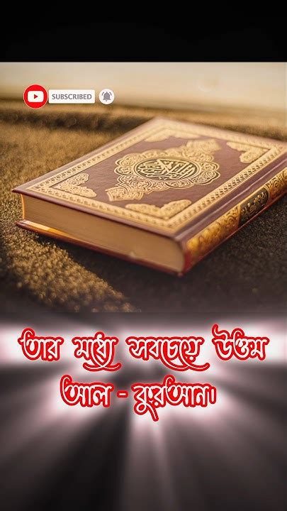 কাগজ দিয়ে তো অনেক কিছুই তৈরি হয় ️ সব থেকে সেরা হলো আল কোরআন ️