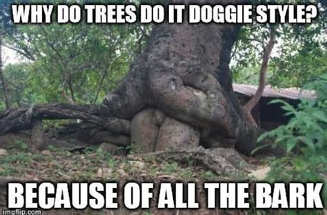 Tree Puns Funny Tree Memes