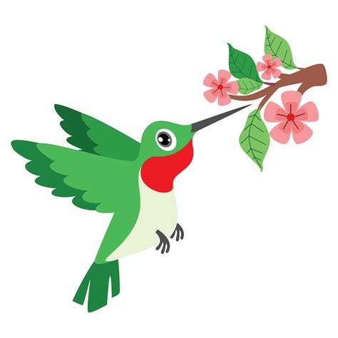 Vectores E Ilustraciones De Colibri Arbol Para Descargar Gratis Freepik