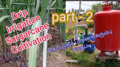 Sugarcane Drip Irrigation System Youtube