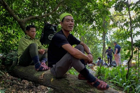 Cerita Tobatnya Pembalak Liar Yang Kini Jadi Pemandu Wisata Di Hutan