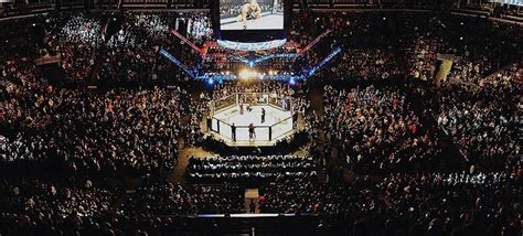 cheap ufc   gametime