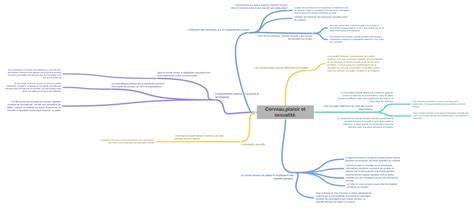 Cerveauplaisir Et Sexualité Coggle Diagram