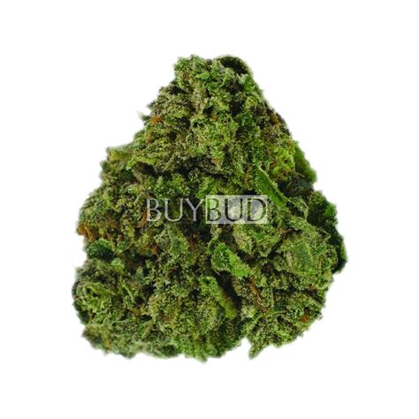 Buy Alaskan Thunder Fuck Cannabis Online Canada Free Shipping Orders