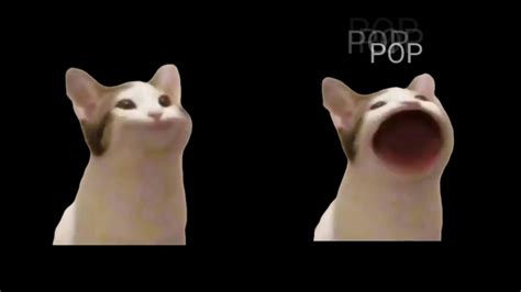 팝캣 Popcat 🐱 Youtube