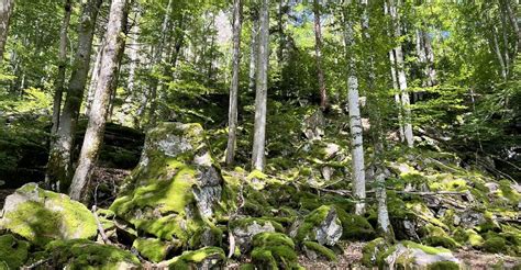 Zweribach Wasserfälle BERGFEX Wanderung Tour Baden Württemberg