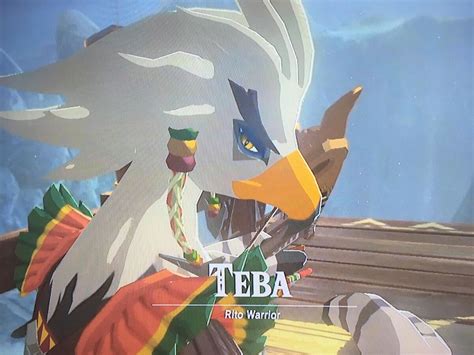 Teba | Breath of the Wild Ultimate Guide Wiki | Fandom