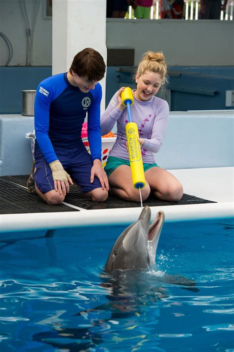 Dolphin Tale 2 Picture 4