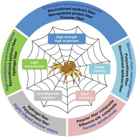 Pdf Spider Silkinspired Artificial Fibers