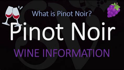 Top 10 Wine Facts About Pinot Noir Youtube