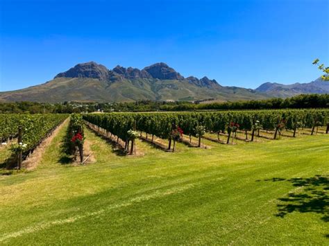 Private Wine Tour Stellenbosch Franschhoek Paarl AFRICAN SUN TOURS