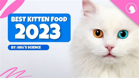 Best Kitten Food 2023 Hills Science Diet Cat Food Youtube