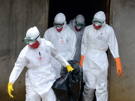 Quick Facts About Ebola NCPR News