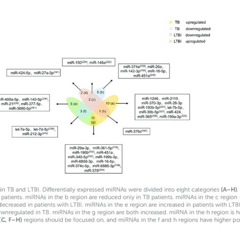 Modulate The Inflammatory Response After Mtb Infection Download