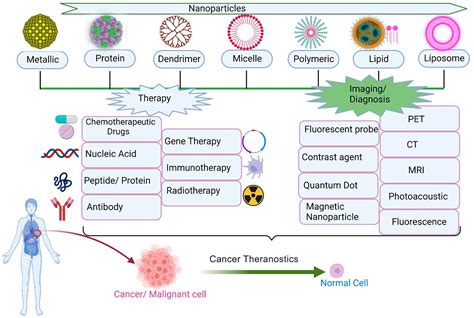 Smart Nanomaterials In Cancer Theranostics Challenges And