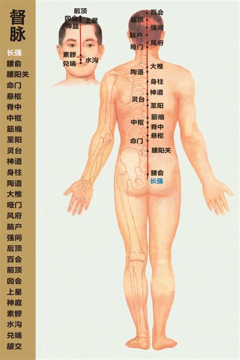 八脉：督脉28个穴位详解艾灸百科