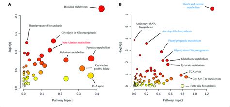 Functional Enrichment And Pathway Topology Analysis Of The Download Scientific Diagram