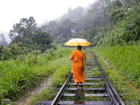 Sfondi National Geographic Da Non Perdere