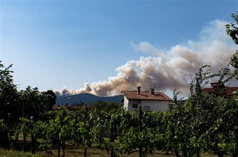 Bralka V Objektiv Ujela Novi Po Ar Na Krasu Na Terenu Ve Kot